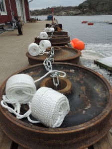 Anchor_weights_low