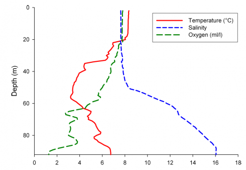 CTD profile in the central Bornholm Basin in May 2012. Temperature, salinity and oxygen content. Figure: Holger Haßlob