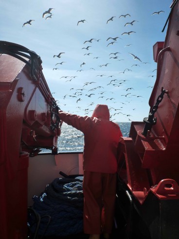 Constant companions during the fishery leg: seagulls waiting for the next haul to come up. Photo: Jan Dierking
