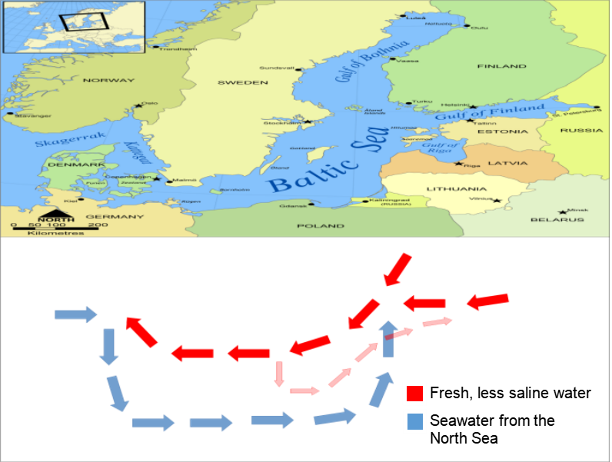 Map of the Baltic Sea  and an illustration of the water circulation in the Baltic Sea