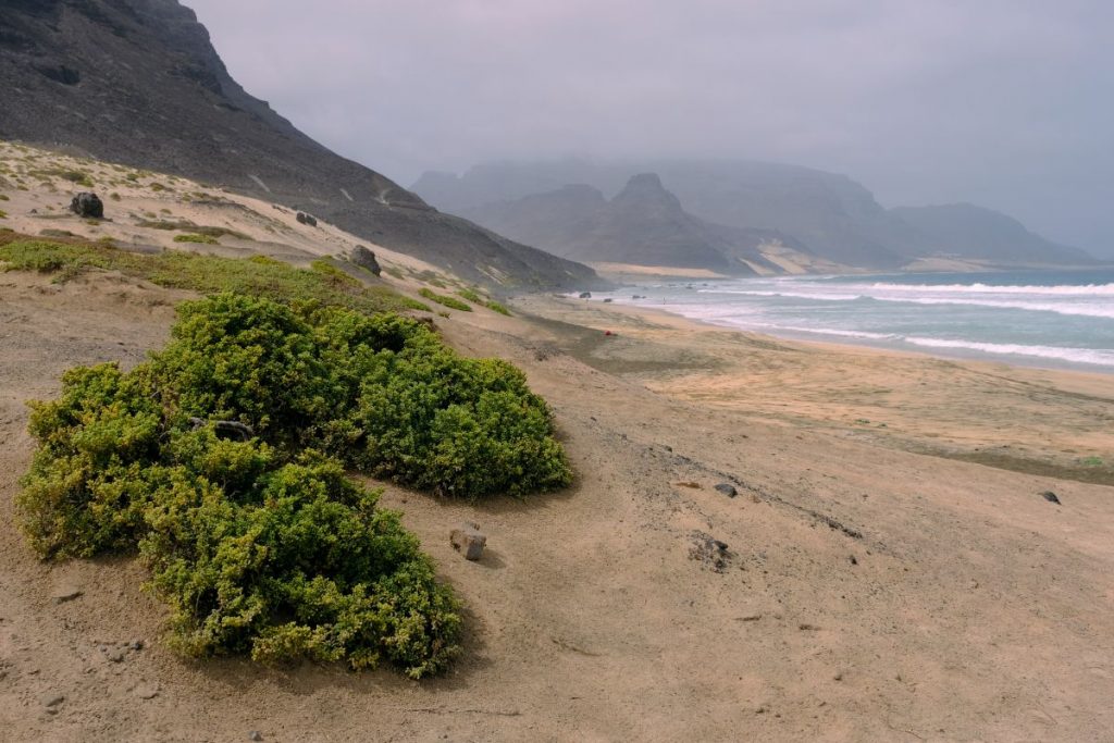 Field trip in the afternoon: the north east coast of São Vicente. Photo: Jan Steffen/GEOMAR