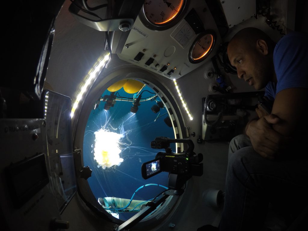 Nuno inside JAGO, watching a egg yolk jellyfish that he and JAGO-pilot Juergen encountered at 60 m depth. / Nuno betrachtet aus dem Tauchboot JAGO heraus eine Qualle, die er zusammen mit JAGO-Pilot Jürgen Schauer in 60 Metern Tiefe entdeckt hat. Photo: Jürgen Schauer/JAGO-Team