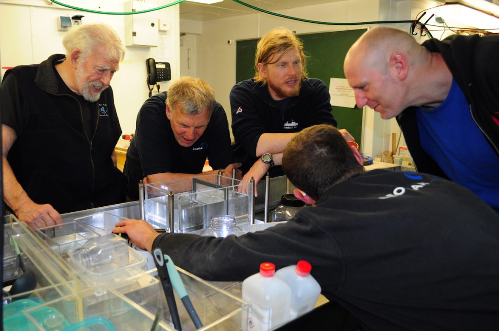 Das Team inspiziert nach dem Tauchgang die Sammelbehälter. / The team inspects the samples collectors after the dive. Photo: Karen Hisssmann/GEOMAR