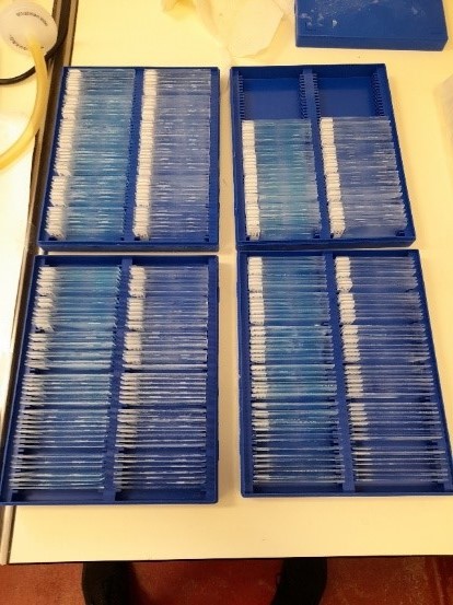 Blue boxes filled with microscopy slides