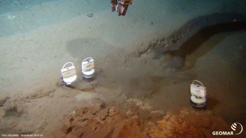 Small sediment plume created upon sediment sampling on the old disturbance tracks (photo: GEOMAR)