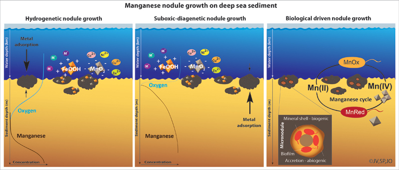 Manganese nodule growth on the deep-se-floor