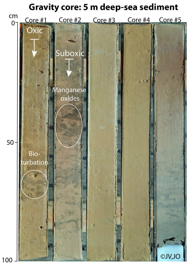 Gravity core: 5 m deep-sea sediment. / Gravitationskern: 5 m Tiefsee-Sediment. Photo: Jessica Volz, Julia Otte