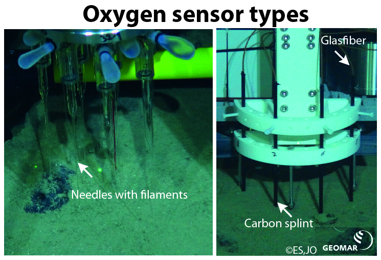 Different instruments for measuring the concentration of oxygen in the sediment. / Verschiedene Instrumente, die zur Messung des Sauerstoffgehalts im Sediment dienen. Photo: Elena Schiller, Julia Otte