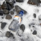 Eine Plastikflasche wie diese hat im Meer eine geschätzte Lebensdauer von 500 Jahren.