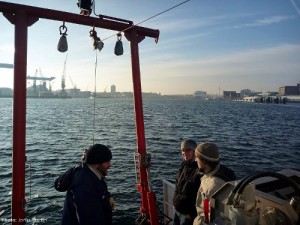 Sammeln von Planktonproben mit der FS Polarfuchs in der Kieler Innenförde. Foto: Jonas Martin