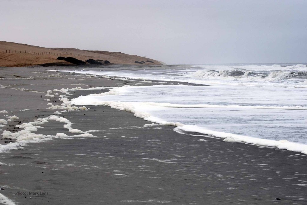 The Skeleton Coast is characterized by endless sandy beaches.