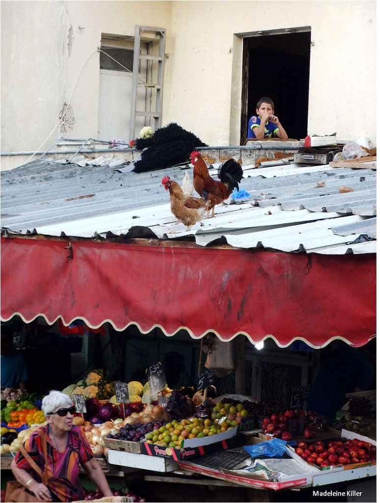 Haifa is a very diverse city. This is the Arabic fruit and vegetable market.