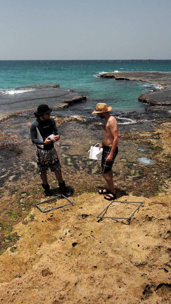 Mapping shore Biodiversity with my colleagues Ohad and Erez.