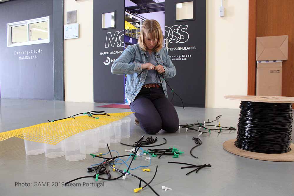 Marilena assembling tubes, and more tubes...