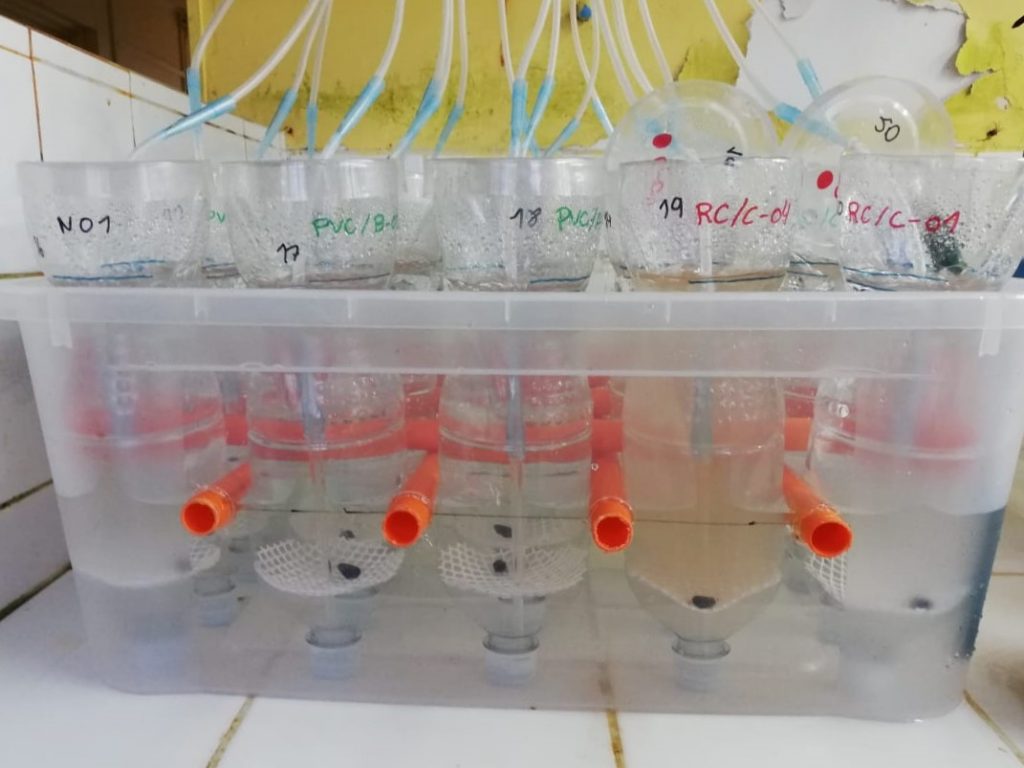 Experimental Set Up. We constructed a constant air supply from the bottleneck in order to circulate the water and re-suspend the particles that settled on the bottom (Foto: Abril Sanchez).