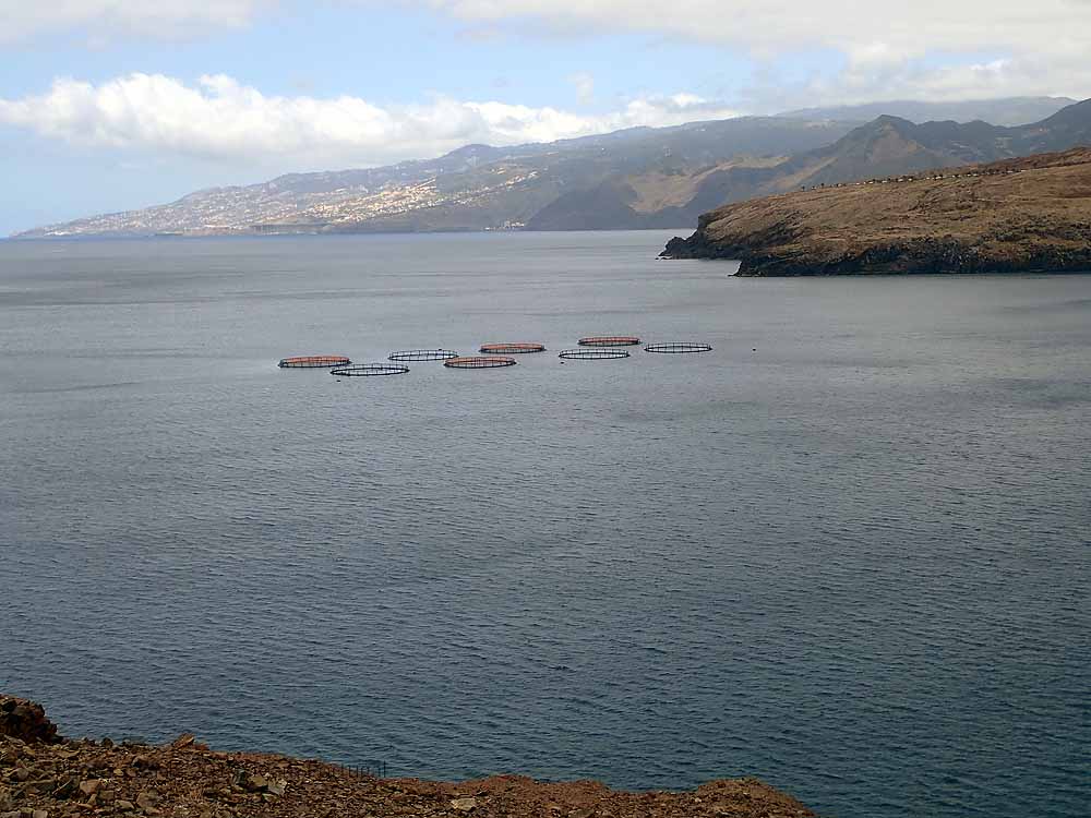 The aquaculture systems seen from Ponta de São Lourenço.