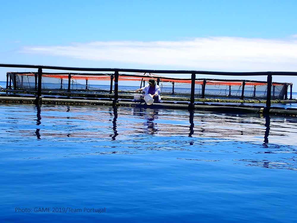 Ana getting barnacles from the aquaculture system