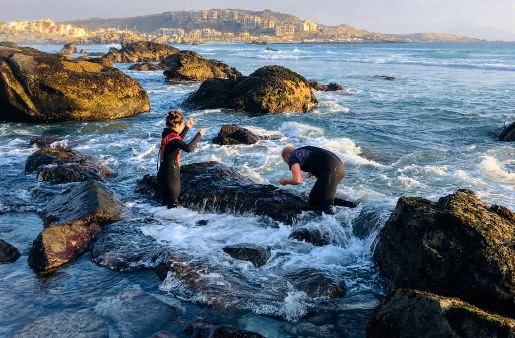 Searching for the mussels in Totoralillo (Photo: Frieda Wölke)