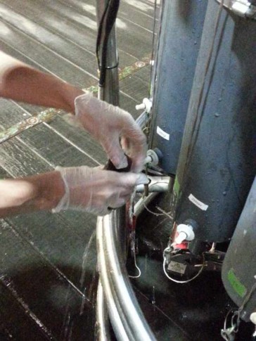 Mark sampling for Fe(II) and hydrogen peroxide from the CTD bottles (Photo JC Yong)