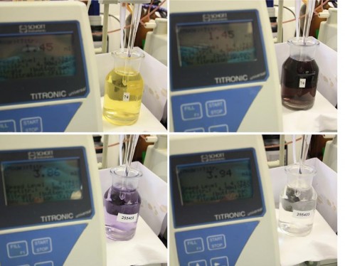 Color change during oxygen titration. From picture top left to top right then bottom left to right (photograph by Angela Stippkugel). 