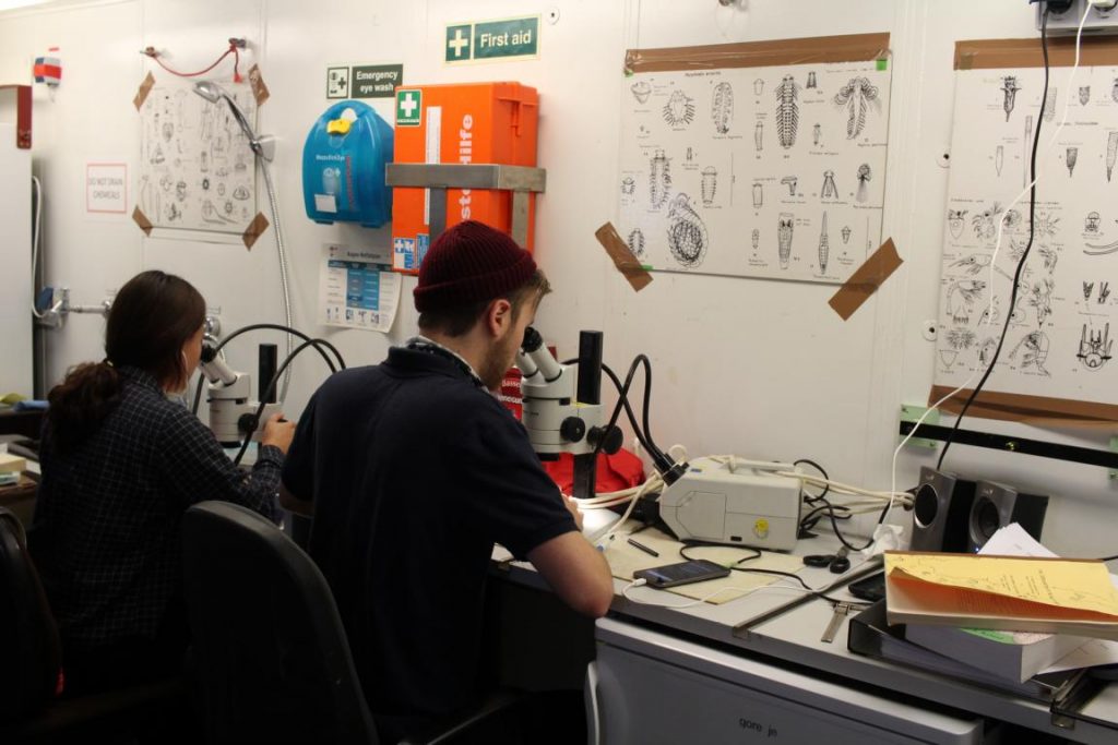 Haegyong Lee and Edwin Heavisides analysing mesozooplankton samples in the lab. Photo by Nora-Charlotte Pauli