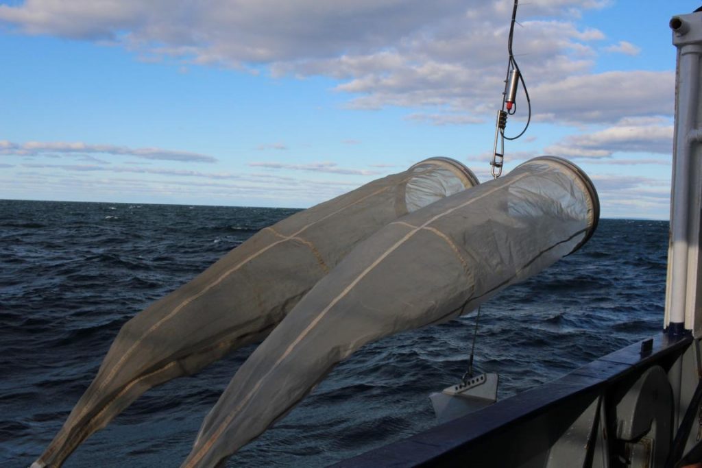 The Bongo net consists of two plankton nets with different mesh sizes (300 and 500 µm). The samples are collected in the buckets at the end of each net. Photo by Nora-Charlotte Pauli