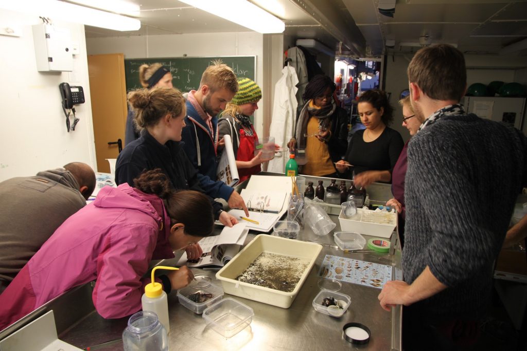 Identifying species caught with the dredge in the wet lab (Photo by Christian Pansch)
