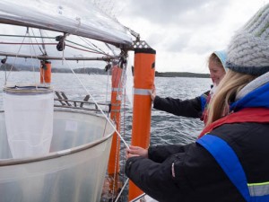 First fish larvae net taken by Henni and Sue; Photo by Michael Sswat