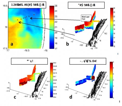 Abb. 2a-c: (a) In der Oberflächentemperatur (MODIS, Auflösung: 1 km) zeigt sich eine klare submesoskalige Front, welche sich Richtung Küste durch das Hauptarbeitsgebiet zieht. Echtzeitgleitermessungen von Temperatur- (b), Salz- (c) und Chlorophyllverteilung entlang der submesoskaligen Front.