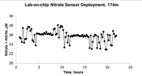 Abb. 1: Zeitserie der Nitrat und Nitrit-Konzentration im Bodenwasser, die mittels eines „Lab on the Chip“ (LOC) in einer Wassertiefe von 174 m gemessen wurde. Hierzu wurde das LOC für ca. 24 hr in einem Lander am Meeresboden verankert.