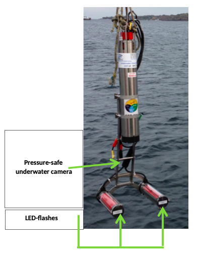 Picture of UVP, made by R.Kiko (https://planktonid.geomar.de/en/UVP)