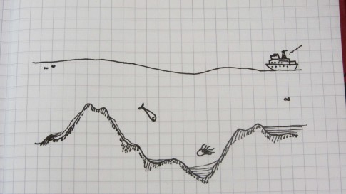 Out of scale scetch of seafloor topography and sea surface height. It's just to give an idea of the variety of features at the bottom of the Oceans and how they affect sea surface height. / Kleine (maßstabsungetreue) Skizze, um zu verdeutlichen, wie wenig die vielfältige Topographie am Meeresboden die Höhe der Meeresoberfläche letztlich beeinflusst.