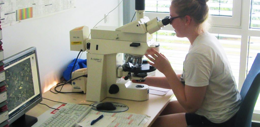 “You got the feeling that you really discovered and understood something.” says Paulina, and continues her work at the microscope. / “Man hat das gute Gefühl, wirklich etwas verstanden zu haben.”, sagt Paulina und arbeitet weiter am Mikroskop. (© M. Klischies)