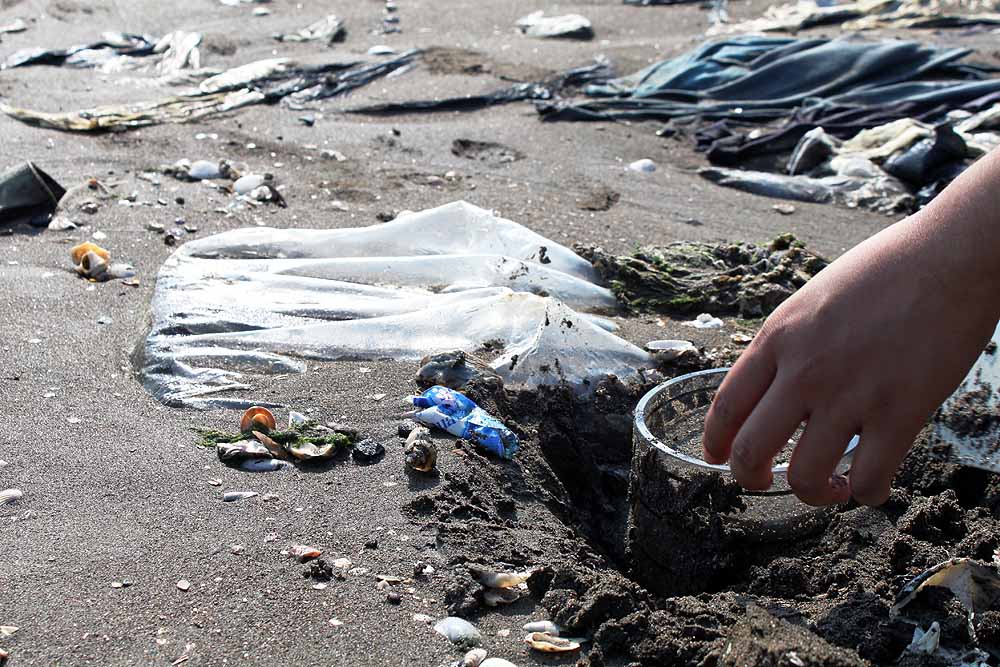 Für das Monitoring werden - wie auf diesem Foto - Sedimentproben aus dem Bereich des Spülsaums genommen. Dort akkumuliert Treibgut und dazu gehört auch Plastikmüll. Foto: Sarah Piehl