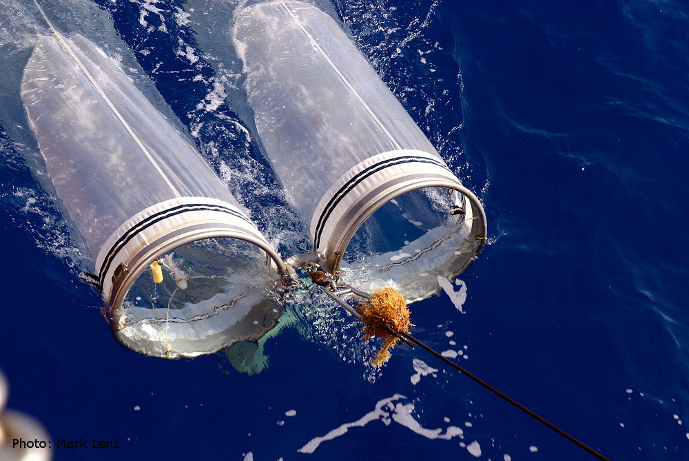 Das Bongo-Netz taucht beim Einholen seitlich vom Schiff wieder aus dem Wasser auf. Foto: Mark Lenz/GEOMAR