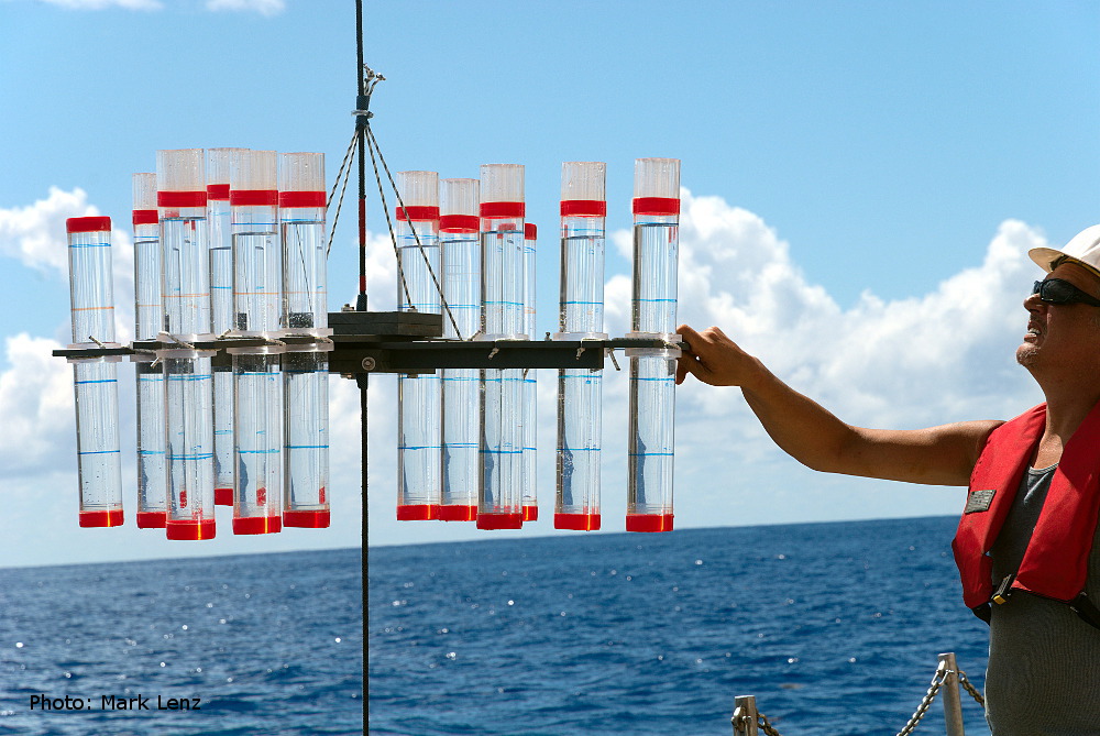 Die einzelnen Kreuze mit den Röhren werden dann nacheinander gehievt und dann seitlich vom Schiff hinabgelassen. Für jede der folgenden Tiefenstufen wurde ein solcher Aufbau am Seil befestigt: 50 m, 100 m, 150 m, 200 m, 300 m, 400 m, 500 m und 600 m. Foto: Mark Lenz/GEOMAR