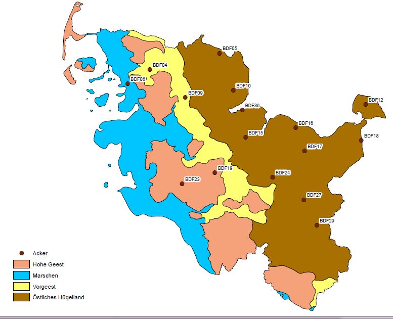 Beprobte Standorte in Schleswig-Holstein. Kartengrundlage LLUR, 2019.