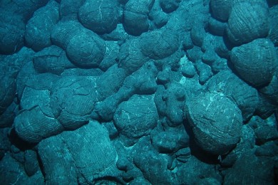 Kissenlava am Mittelatlantischen Rücken im Südatlantik. (Foto: ROV KIEL 6000, GEOMAR)