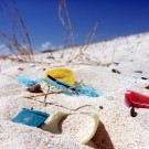 Auch an den Küsten Mexikos findet man immer häufiger Makroplastik (Foto: Jonas Martin, GEOMAR)