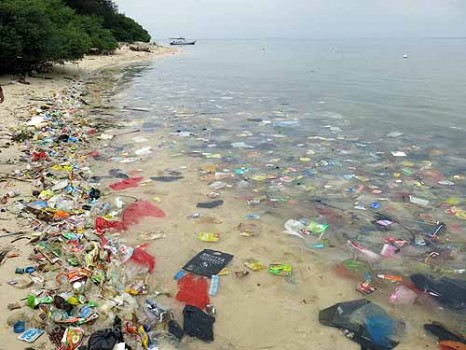Plastikmüll an den Küsten und in den Meeren ist mittlerweile ein globales Problem. Hier ein Strand in Indonesien. Foto: Sinja Rist & Khoirunnisa Assidqi