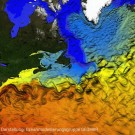 Schwächelt der Golfstrom oder nicht? Diese Darstellung zeigt eine Momentaufnahme der Oberflächenströmung im Nordatlantik anhand der Oberflächentemperaturen im Ozeanmodell ORCA12. Simulation und Darstellung: Ozeanmodellierungsgruppe GEOMAR