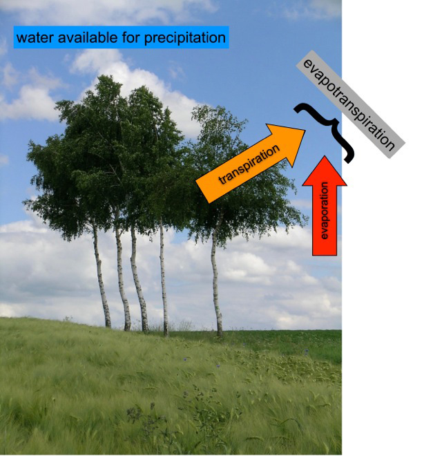 Precipitation - Transpiration - Evaporation