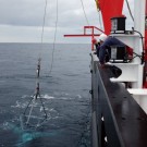 Der erste Tripode des GeoSEA-Arrays wird zum Meeresboden abgefiert / The first GeoSEA-Array tripod is lowered to the seabed. Photo: Jan Steffen, GEOMAR