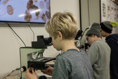 Welche Algen befinden sich in der Wasserprobe? Schüler am MIkroskop im ozean:labor der Kieler Forschungswerkstatt. Foto: Jolan Kieschke