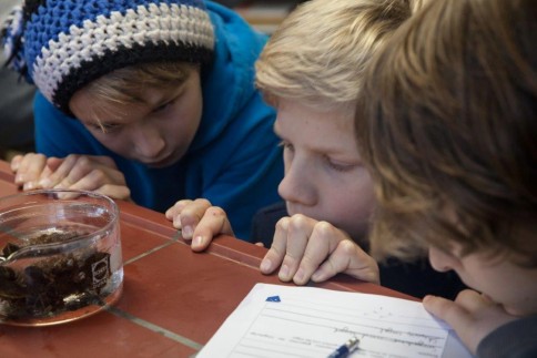 Schüler beobachten die Nahrungsaufnahme von Seepocken im ozean:labor der Kieler Forschungswerkstatt