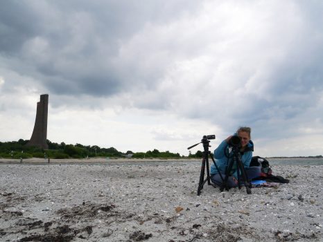 Jule auf ihrem Beobachtungsposten vor der Sandbank