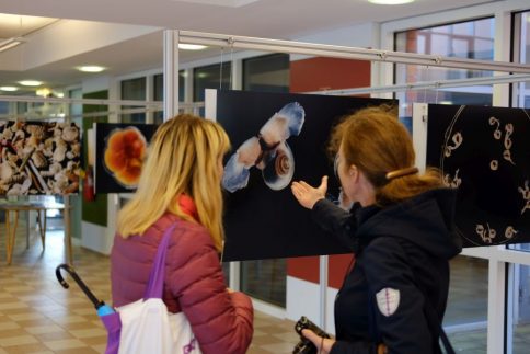 Faszinierend - die Fotos von Solvin Zankl zum Thema Ozeanversauerung. Foto: Jan Steffen, GEOMAR 