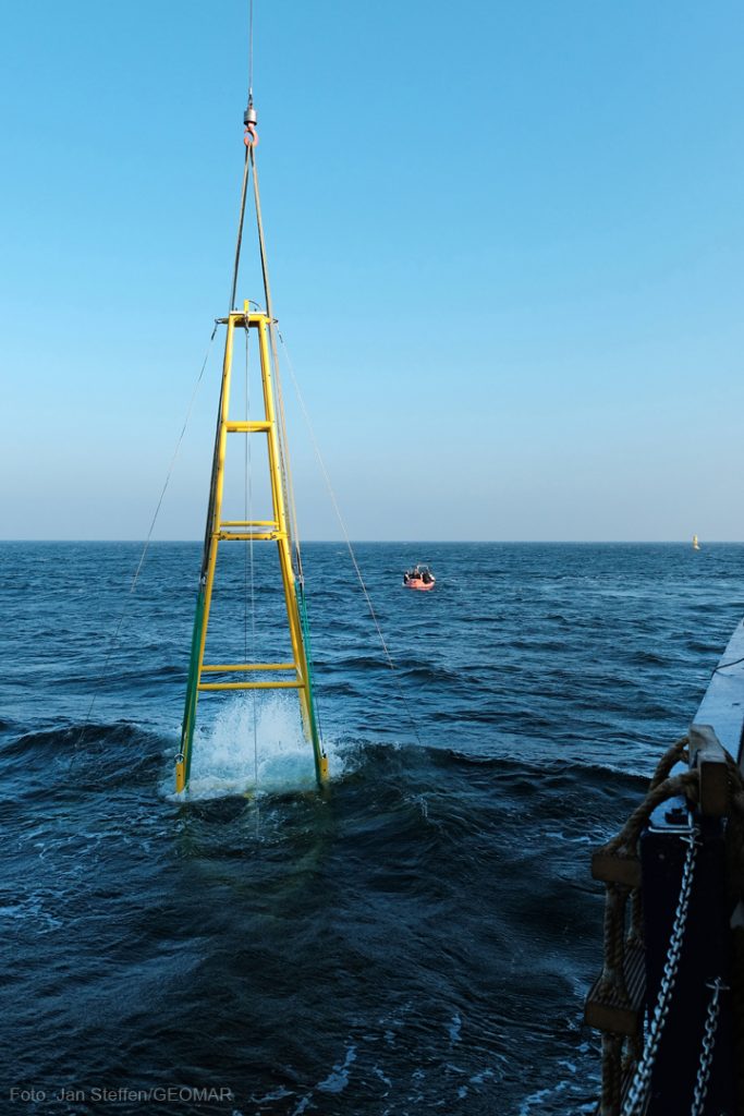 ... und schlicßlich ins Ostseewasser. Foto: Jan Steffen