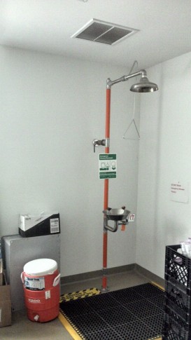 This is what I call an emergency shower!!! (Lab of the Ranger Station on Key Largo) Photo: Hanna Campen