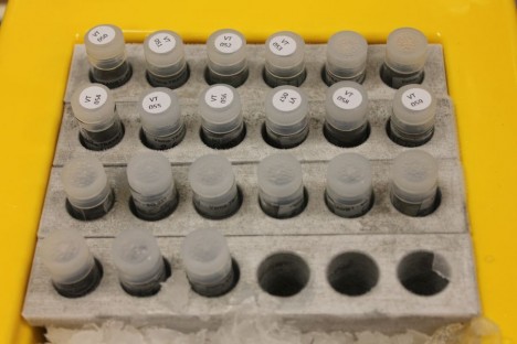 Ein Teil der 90 Probengefäßen der ersten Station / Part of 90 vials from the first station. ©Nikolaus Elsner